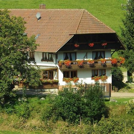 Schusselehof Leilighet Oberprechtal Eksteriør bilde