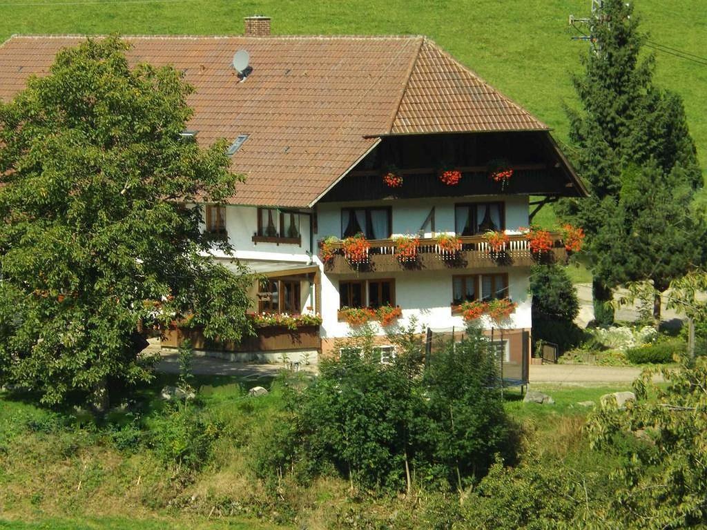Schusselehof Leilighet Oberprechtal Eksteriør bilde